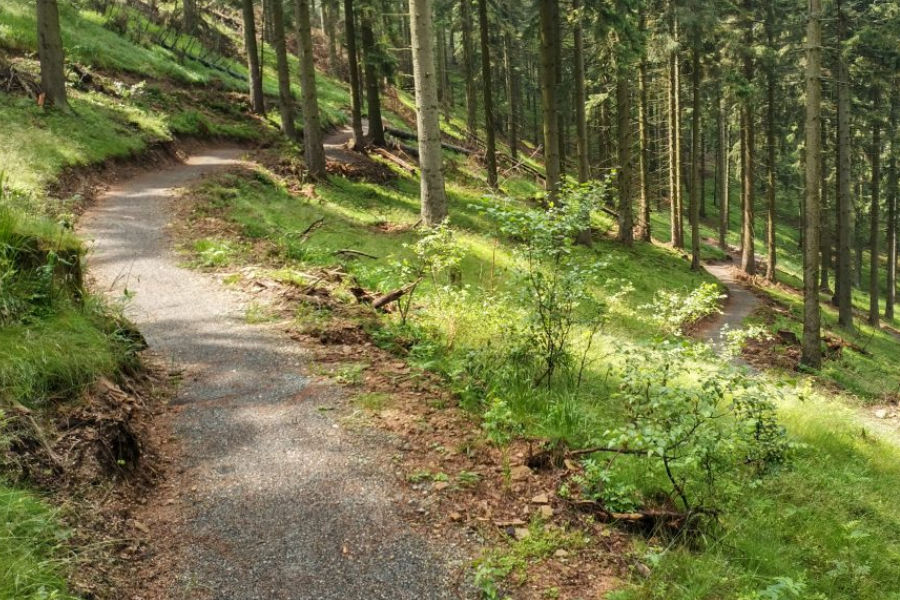 Singletrack Mezihoří - 33km od chaty Luna